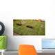 Laying Turf Wall Decal