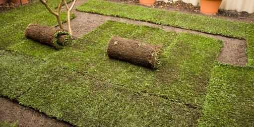 Laying Turf Wall Decal