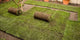 Laying Turf Wall Decal