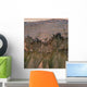 Changes Gullies Sou Rly Wall Mural