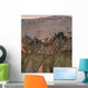 Changes Gullies Sou Rly Wall Mural