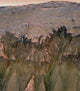 Changes Gullies Sou Rly Wall Mural