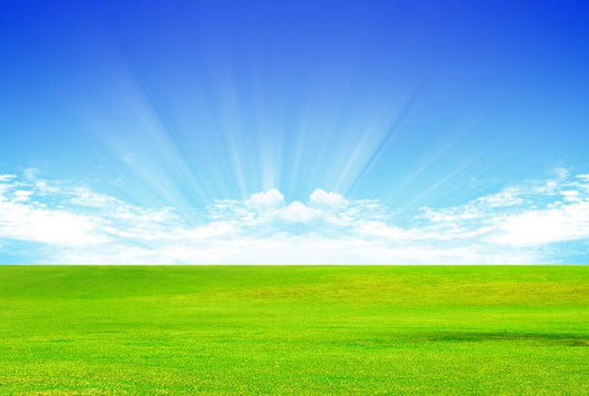 Landscape Wall Decal Design 6