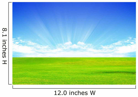 Landscape Wall Decal Design 6