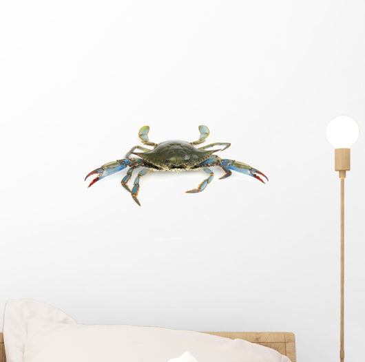 Live Blue Crab White Wall Decal Sticker Set