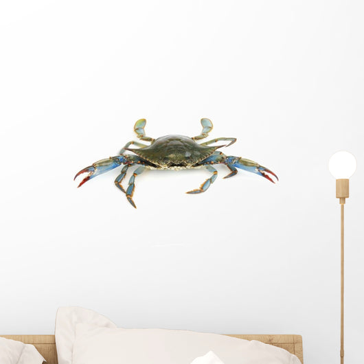 Live Blue Crab White Wall Decal Sticker Set