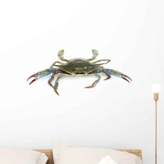 Live Blue Crab White Wall Decal Sticker Set