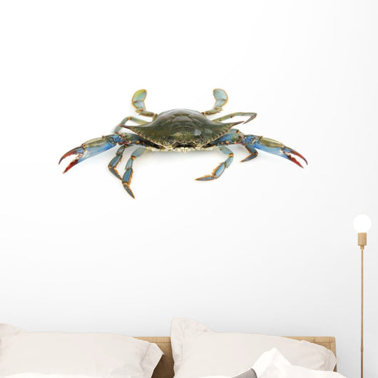 Live Blue Crab White Wall Decal Sticker Set