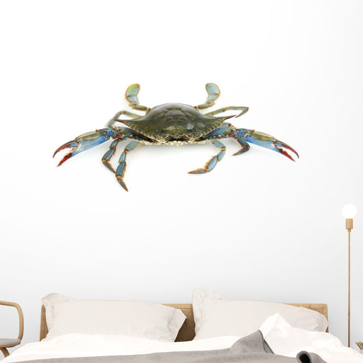 Live Blue Crab White Wall Decal Sticker Set