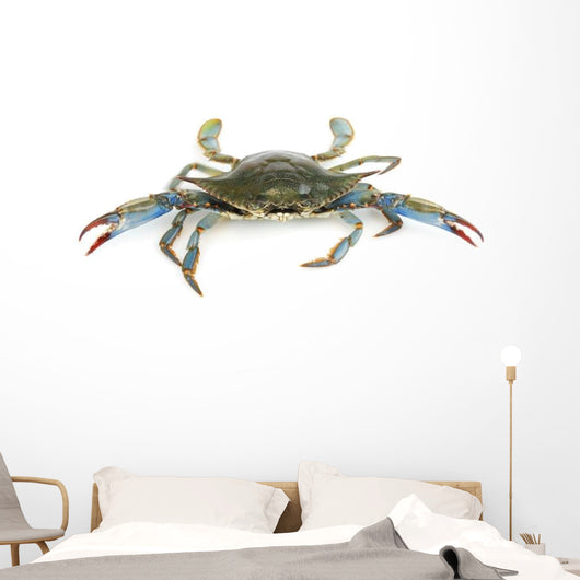 Live Blue Crab White Wall Decal Sticker Set