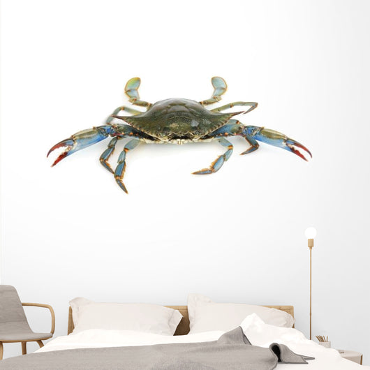 Live Blue Crab White Wall Decal Sticker Set