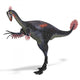 Giant Dinosaur Gigantoraptor Wall Decal