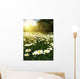 Beautiful Daisy Field against Wall Decal
