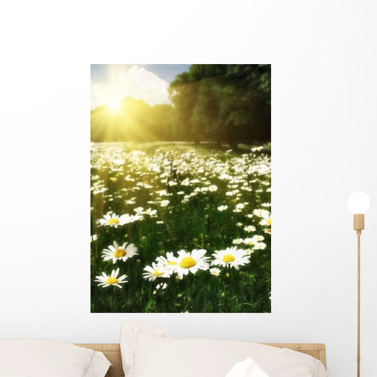 Beautiful Daisy Field against Wall Decal
