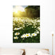 Beautiful Daisy Field against Wall Decal