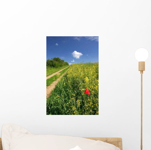 Road through Summer Countryside Wall Decal