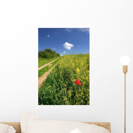 Road through Summer Countryside Wall Decal
