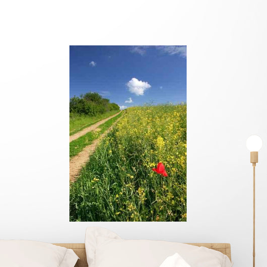 Road through Summer Countryside Wall Decal