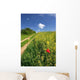 Road through Summer Countryside Wall Decal