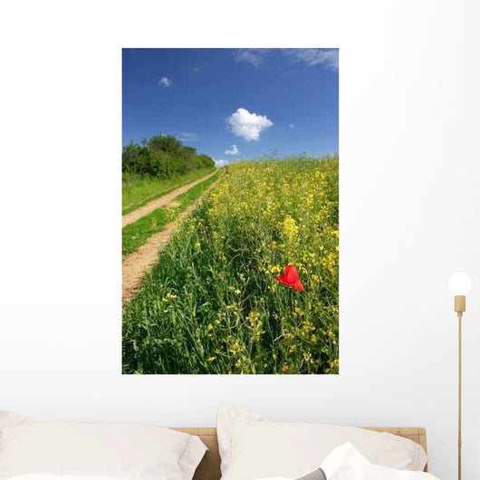 Road through Summer Countryside Wall Decal