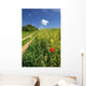 Road through Summer Countryside Wall Decal