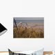 Barbed Wire from 2nd Wall Decal