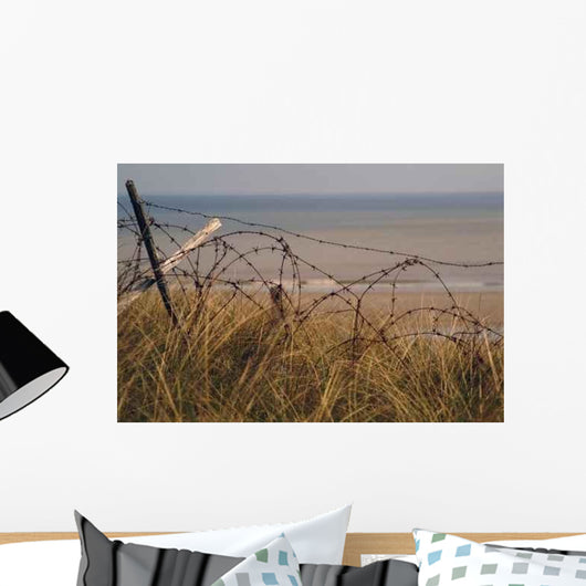 Barbed Wire from 2nd Wall Decal
