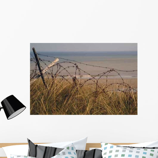 Barbed Wire from 2nd Wall Decal