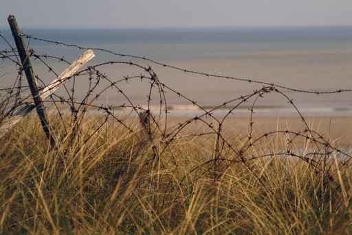 Barbed Wire from 2nd Wall Decal