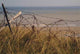 Barbed Wire from 2nd Wall Decal