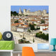 Avignon from Heaven Wall Decal