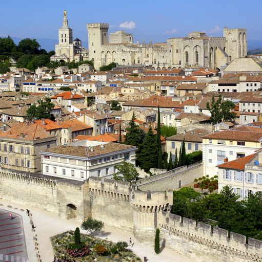 Avignon from Heaven Wall Decal