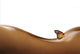 Wellness 0066556 Wall Decal