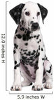 Dalmatian Puppy Wall Decal Design 2