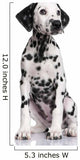 Dalmatian Puppy Wall Decal Design 1