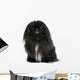 Black Pekingese Dog Wall Decal