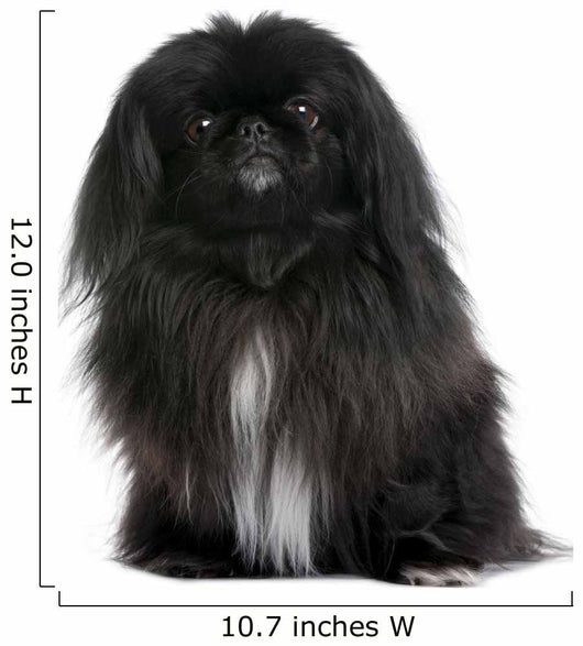 Black Pekingese Dog Wall Decal