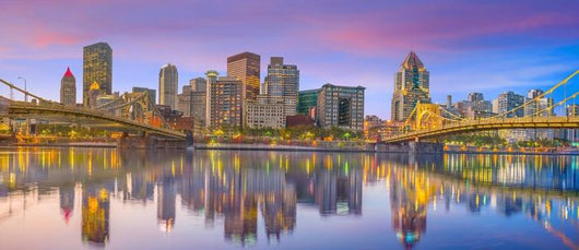 Panorama Downtown Pittsburgh Twilight Wall Decal