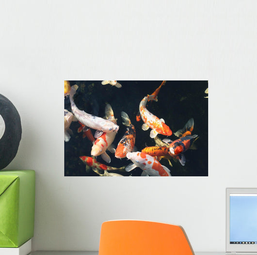 Kois im Teich Wall Decal