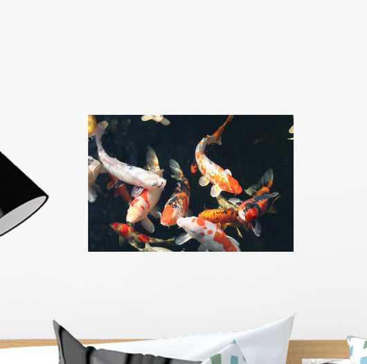 Koi Pond Wall Decal