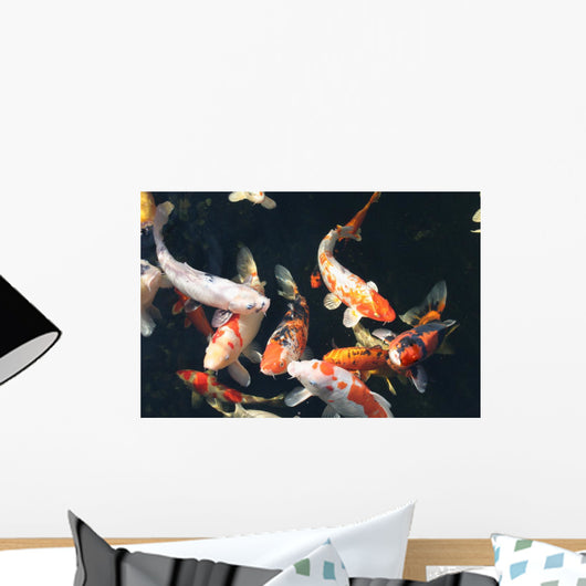 Koi Pond Wall Decal