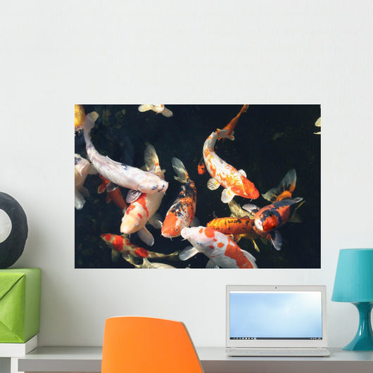 Kois im Teich Wall Decal