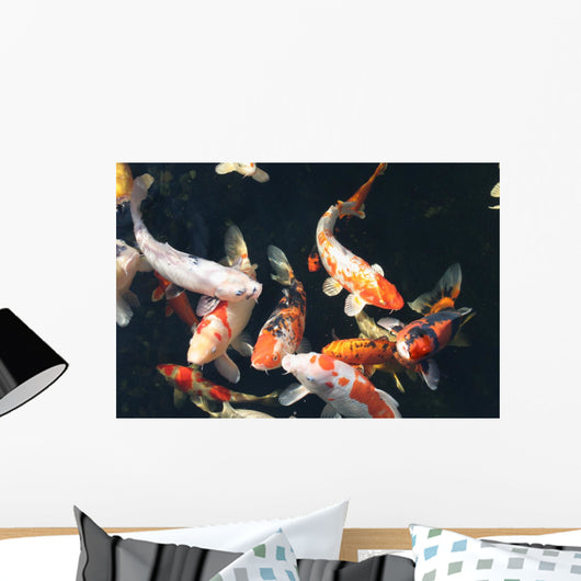 Koi Pond Wall Decal