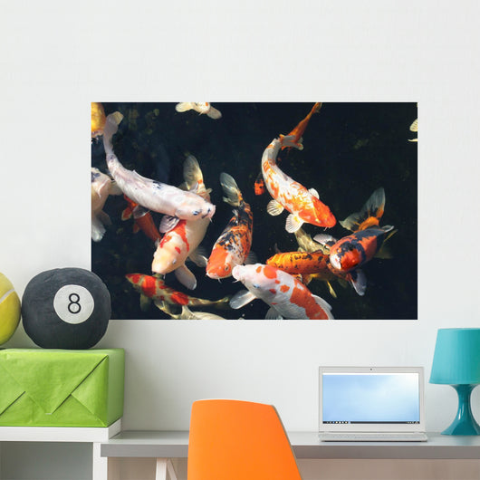 Kois im Teich Wall Decal