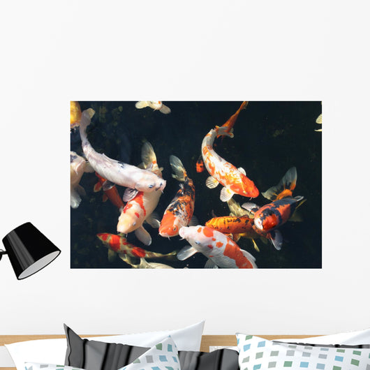 Koi Pond Wall Decal