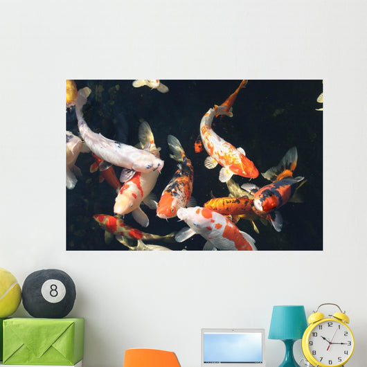 Kois im Teich Wall Decal