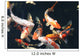 Koi Pond Wall Decal