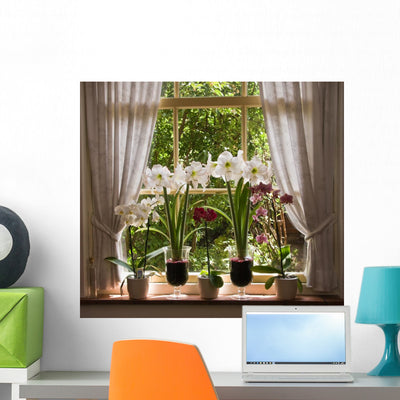 Zen Orchids Sunny Window Wall Mural shown on a wall