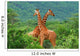 Fight Two Giraffes Wall Decal