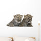 Persian Leopard Cub Wall Decal Design 2